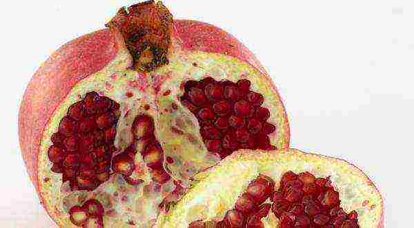 the best varieties of pomegranate