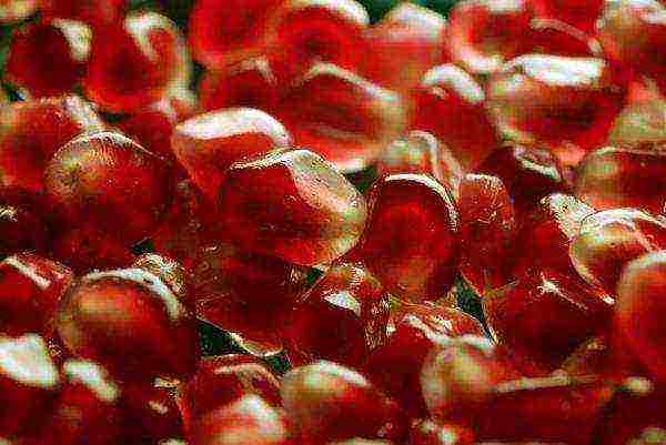 the best varieties of pomegranate