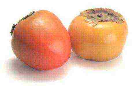 the best varieties of persimmon