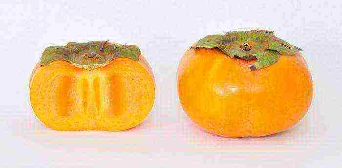 the best varieties of persimmon