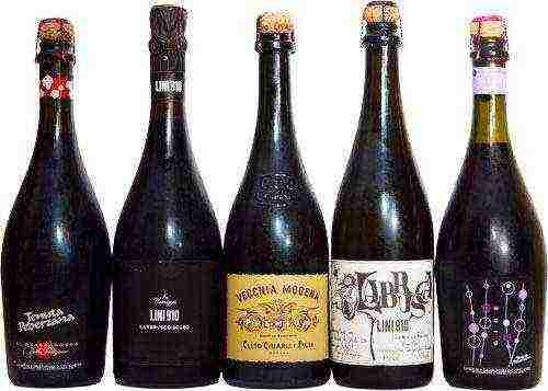 the best varieties of Lambrusco