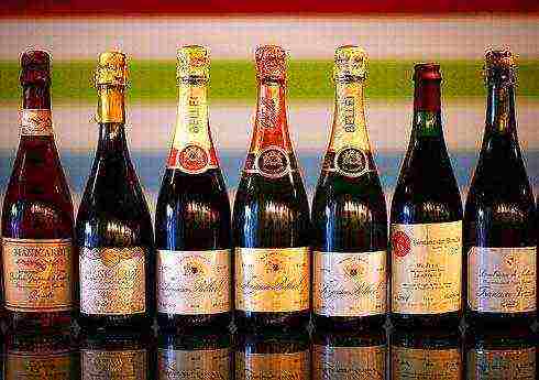 the best varieties of Lambrusco