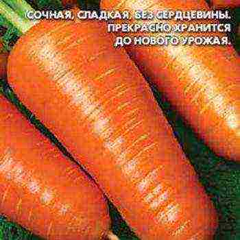 the best varieties of carrots