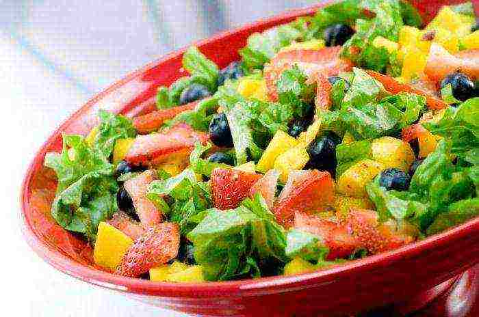 the best salad varieties