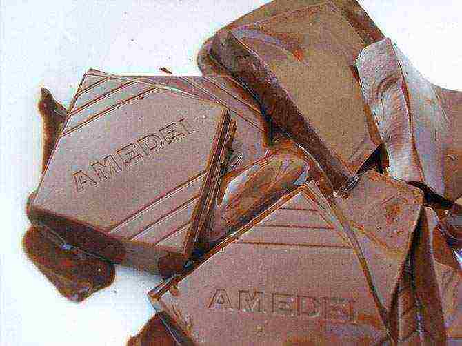 the best varieties of chocolate