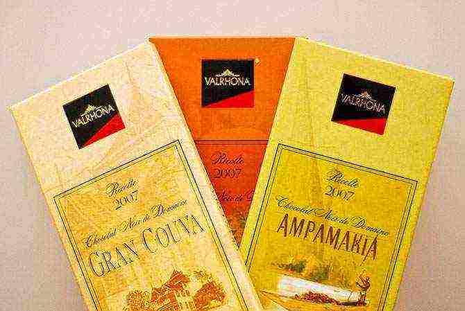 the best varieties of chocolate