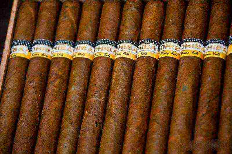 the best cigars