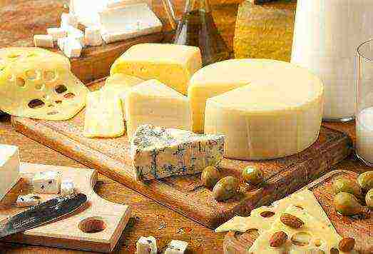 the best varieties of cheese