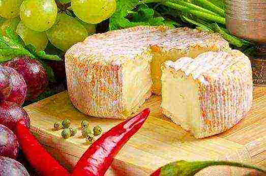 the best varieties of cheese