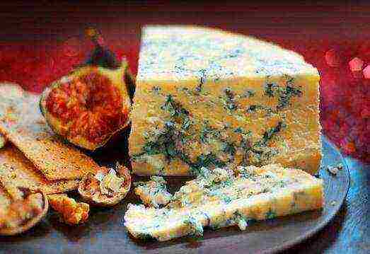 the best varieties of cheese