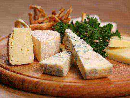 the best varieties of cheese