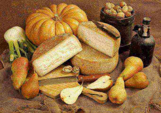 the best varieties of cheeses