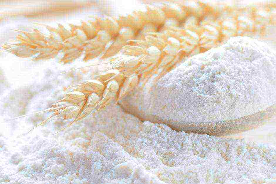 the best grade of flour