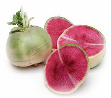 best grade of radish