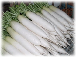 best grade of radish