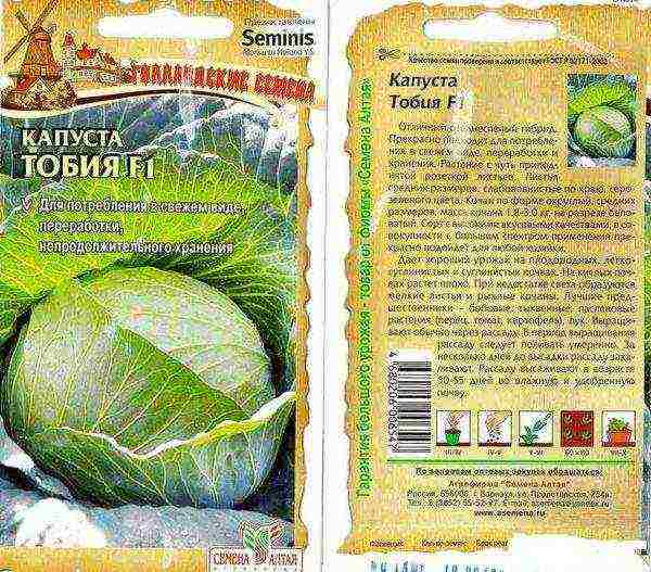 the best varieties of cabbage