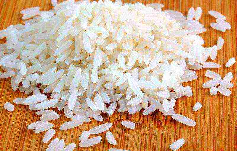 rice the best varieties