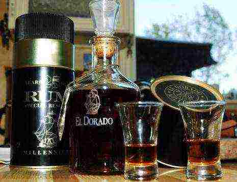 rum the best varieties