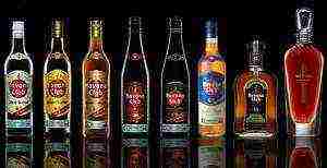 rum the best varieties