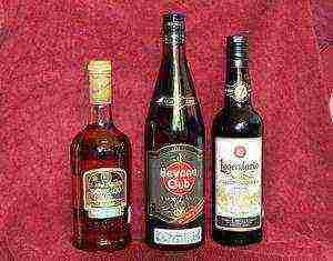 rum the best varieties