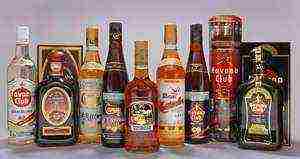 rum the best varieties