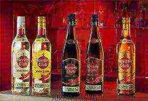 rum the best varieties