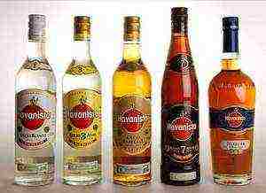 rum the best varieties