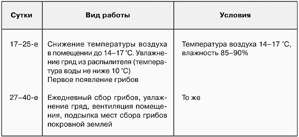 champignons can be grown for humus because they