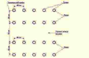 scheme for planting cucumbers on a trellis in the open field