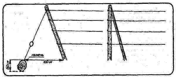 scheme for planting cucumbers on a trellis in the open field