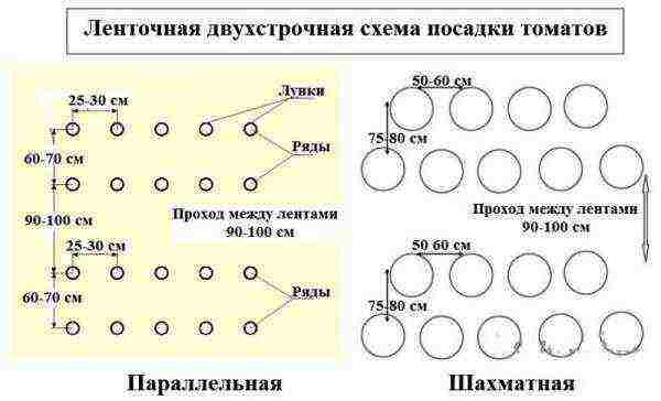 scheme for planting tomatoes in open ground under drip irrigation