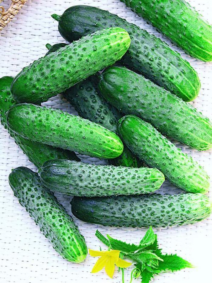 the variety of cucumbers is good