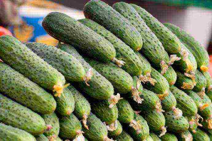 the variety of cucumbers is good