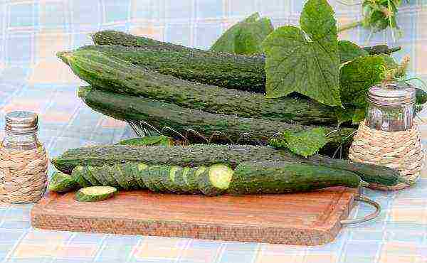 the variety of cucumbers is good