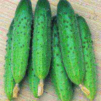 the variety of cucumbers is good