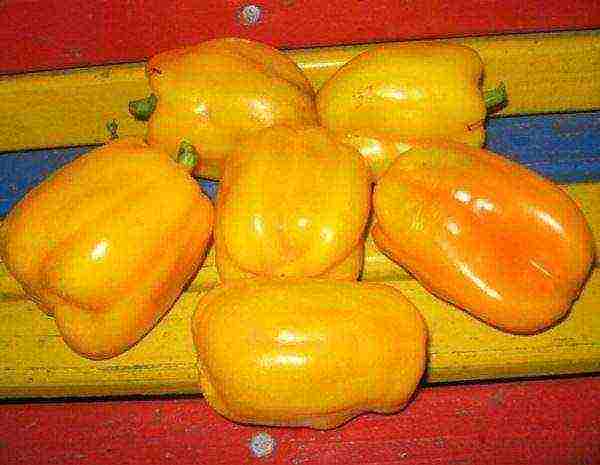 varieties of the best peppers