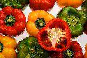 varieties of the best peppers