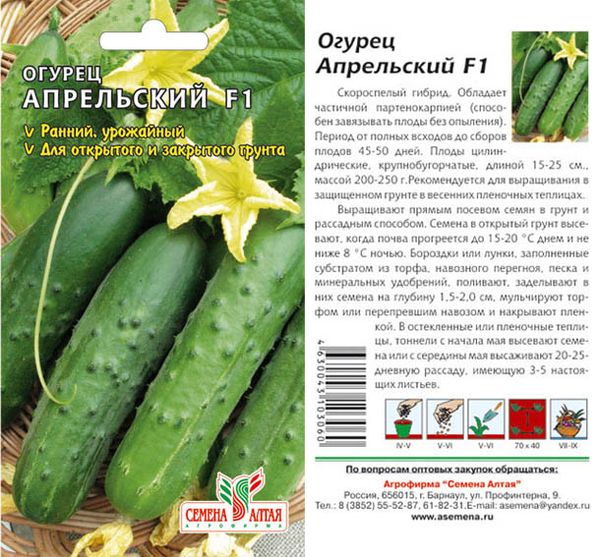 the timing of planting cucumbers in open ground in Ukraine