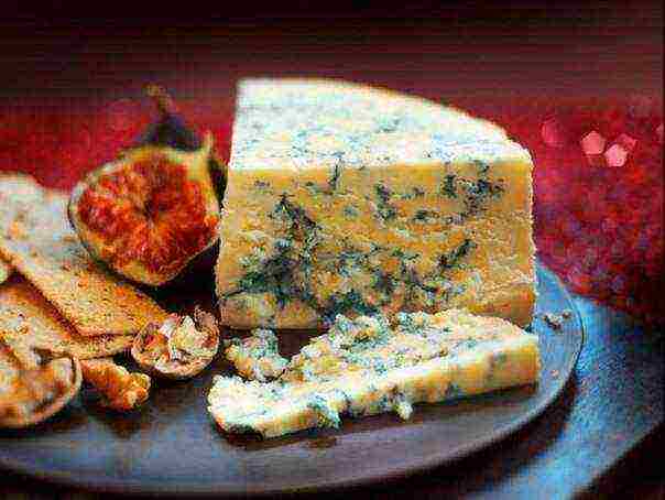 best varieties of cheese