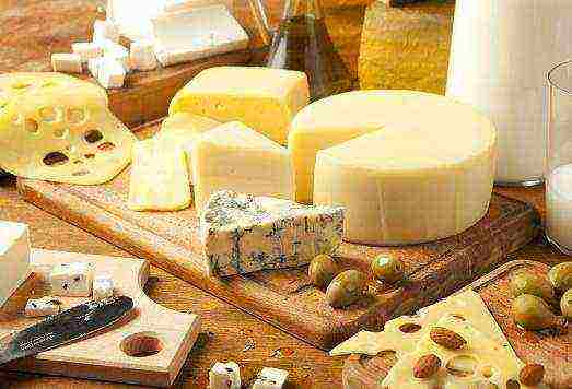 best varieties of cheese