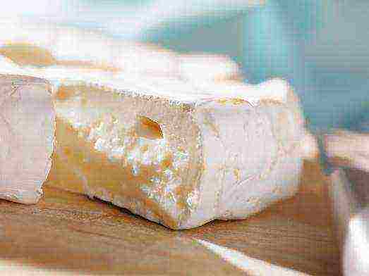 best varieties of cheese