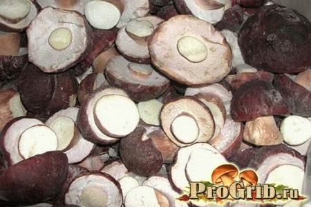 is it possible to grow porcini mushrooms at home