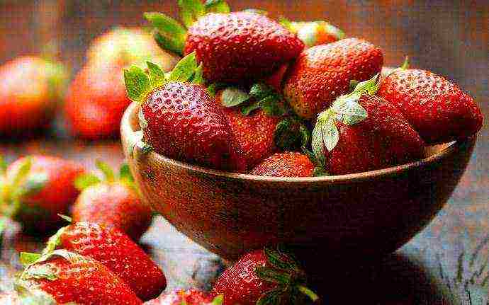 land strawberry large-fruited f1 lizonka how to grow