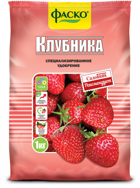 land strawberry large-fruited f1 lizonka how to grow