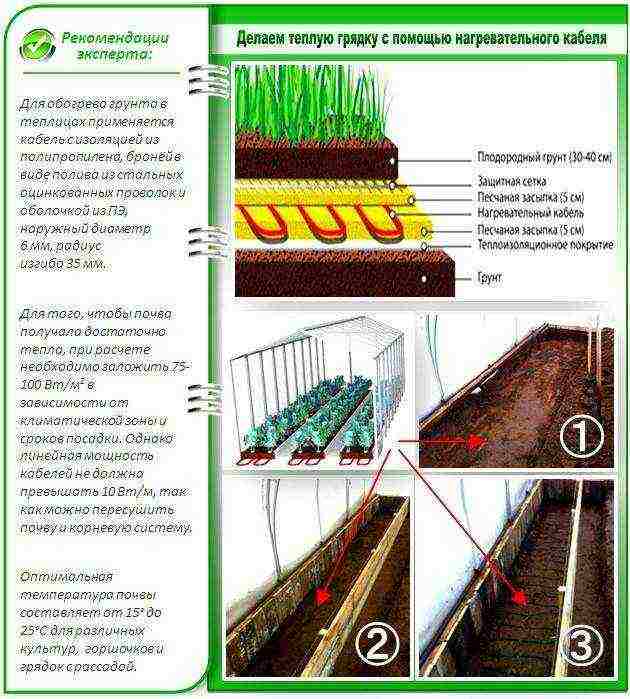 in winter, grow cucumbers in a greenhouse how many degrees should