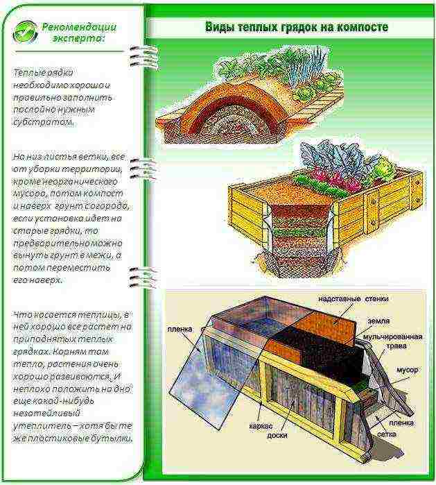 sa taglamig, palaguin ang mga pipino sa isang greenhouse kung gaano karaming mga degree ang dapat