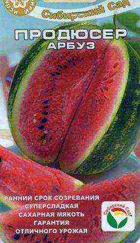 watermelon seeds best varieties