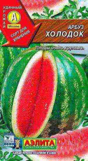 watermelon seeds best varieties