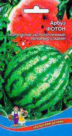 watermelon seeds best varieties