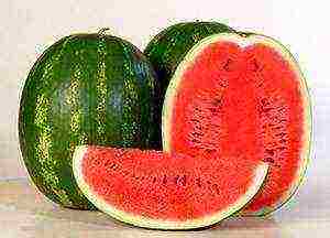 watermelon seeds best varieties